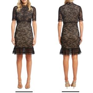 Bardot Lace Sheath Dress, EUC, size 8
